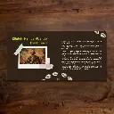 Toto Design Playground (48).webp